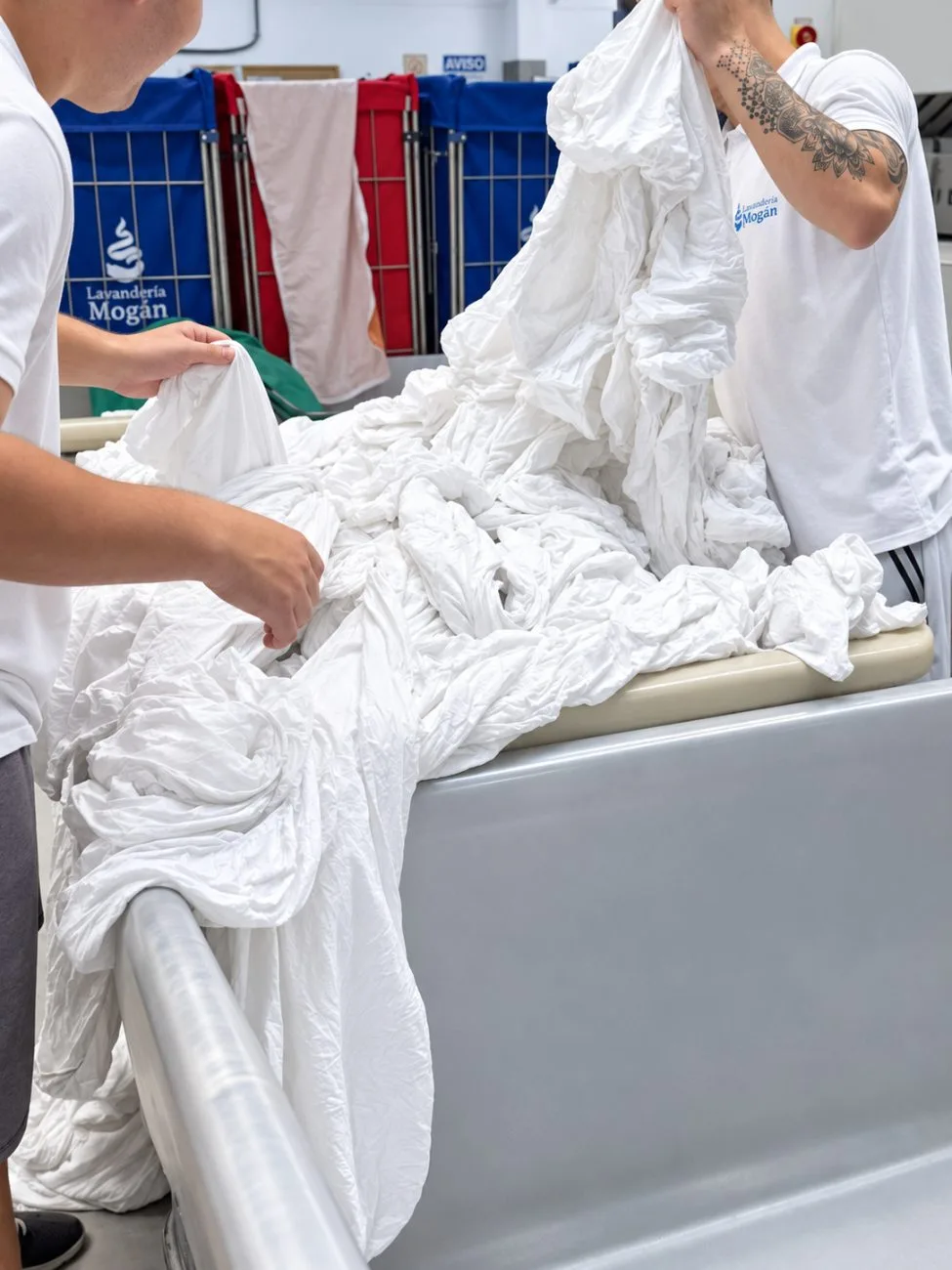 Personal separando la ropa sucia por tipo de prenda